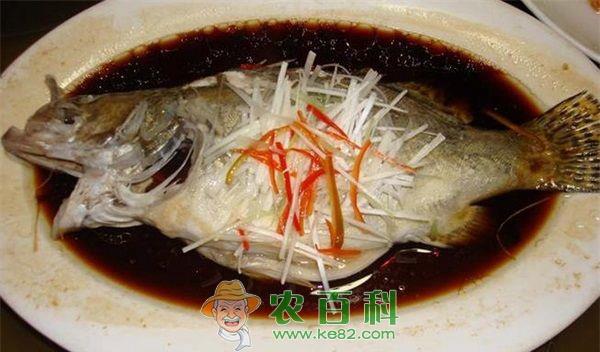 鳜鱼养殖合理控制密度很重要