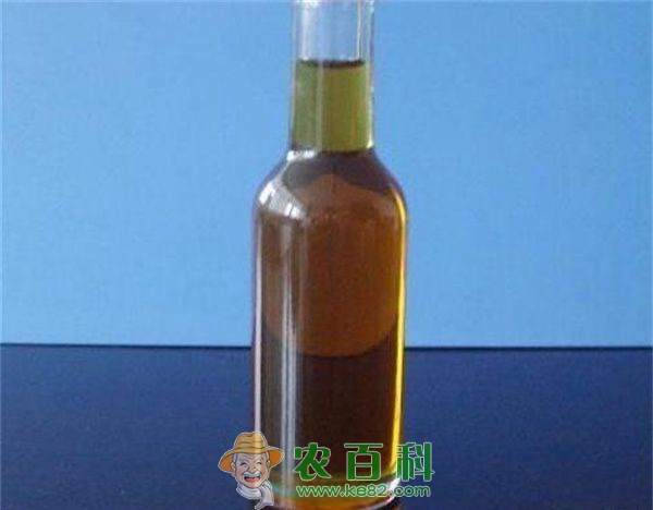 芥末油的提取全过程