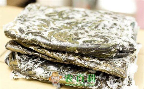蚂蟥 蚂蟥的药用加工