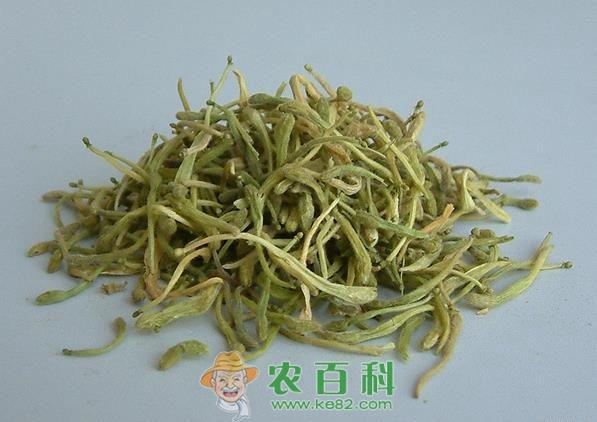 金银花--土客网网 金银花加工技巧