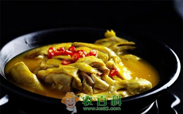 九味贵妃鸡是哪个地方的菜 九味贵妃鸡是哪个地方的菜
