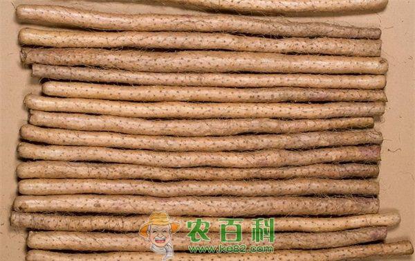 山药 山药豆金龟甲和蓝翅负泥虫的防治