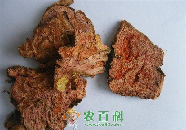 红景天 老人抗缺氧吃点红景天