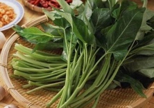 空心菜的营养价值 空心菜的营养价值
