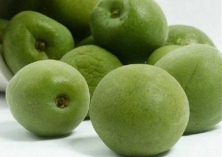 天然果梅的种植与储藏