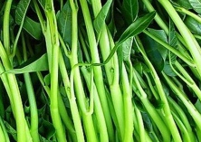 空心菜种植技术（空心菜芽的生产技术）