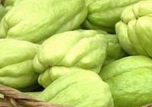 芥菜种植时间的选择技巧