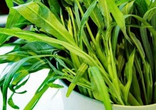 空心菜扦插繁殖好