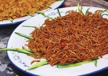 黄粉虫养殖骗局注意两点