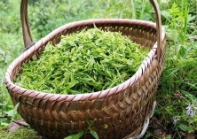 第二届岳阳茶叶文化节举行