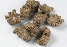 各大医学巨作中关于田七的描述