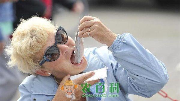 鲱鱼 方可大胆直接下咽的荷兰鲱鱼