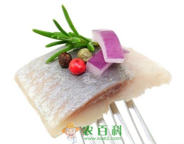 鲱鱼 海鸥从美国游客口中抢食鲱鱼