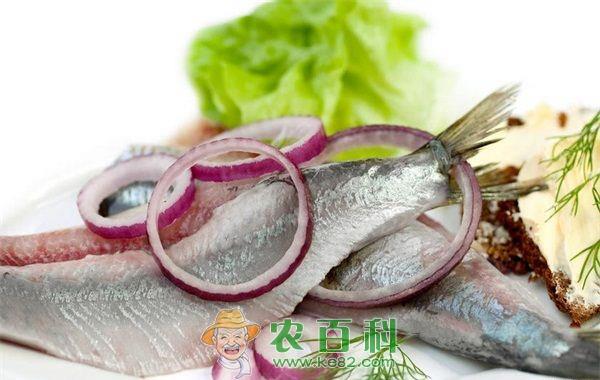 腌渍鲱鱼子的加工要点
