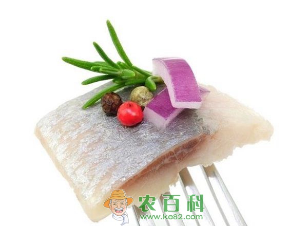 爱尔兰凯尔特海(Celtic Sea)鲱鱼捕