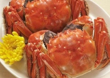 解毒不彻底导致大闸蟹苗溜边上网有伤亡的处理方法