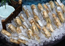 蛏子养殖技术简介 蛏子养殖技术简介