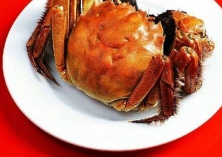 大闸蟹投种对水质要求很高