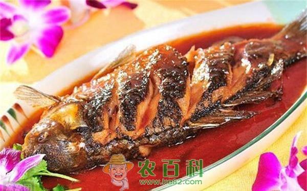 鲫鱼怎么做好吃 鲫鱼怎么做好吃