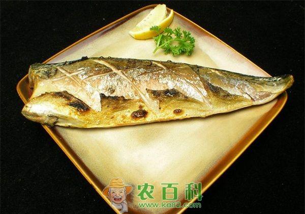 青鱼 湖北省荆州纪南镇九店村合作社让荆州青鱼“游”得更远