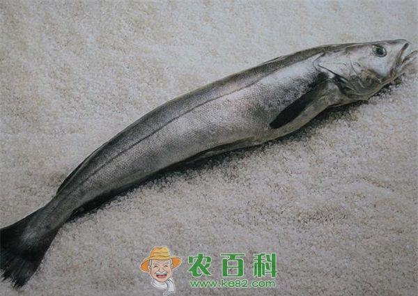 银鳕鱼的做法