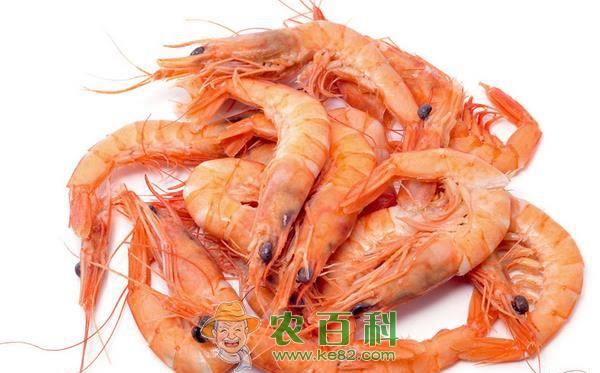 秋冬滋补&mdash;&mdash;小米鲜虾疙瘩汤