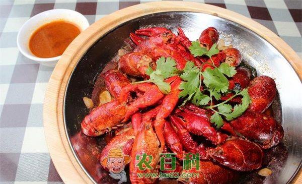 油焖小龙虾的做法