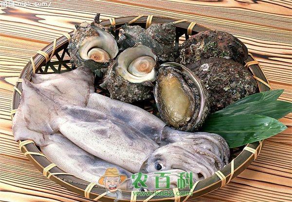鱿鱼 甲醛泡发鱿鱼 坊主被判刑