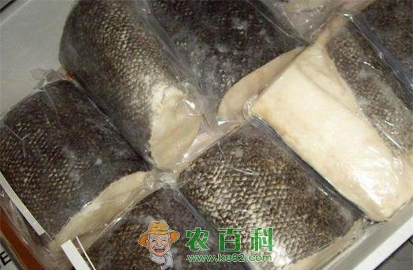 鳕鱼 鳕鱼的营养价值