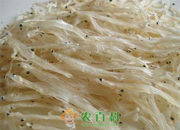 大水面防治鱼病六招