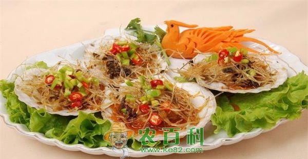 扇贝 青岛扇贝难寻买主