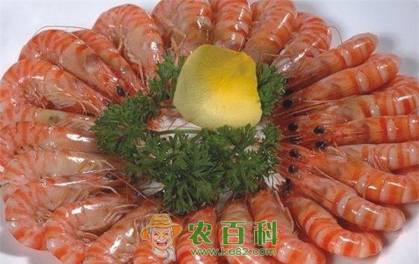 基围虾淡化养殖