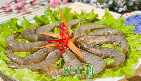 基围虾淡化养殖