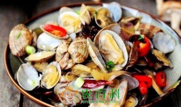 蛤蜊干的介绍
