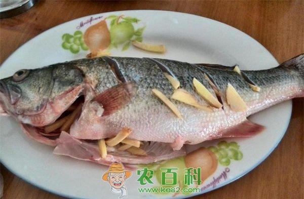 鲈鱼的做法大全