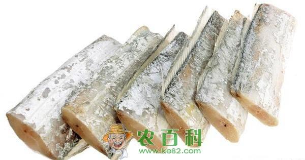 带鱼的营养价值