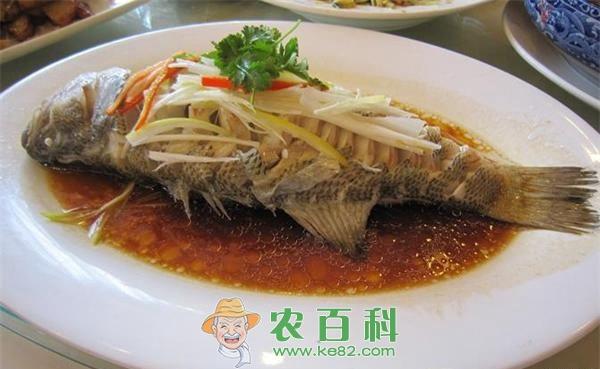 鲈鱼的做法大全