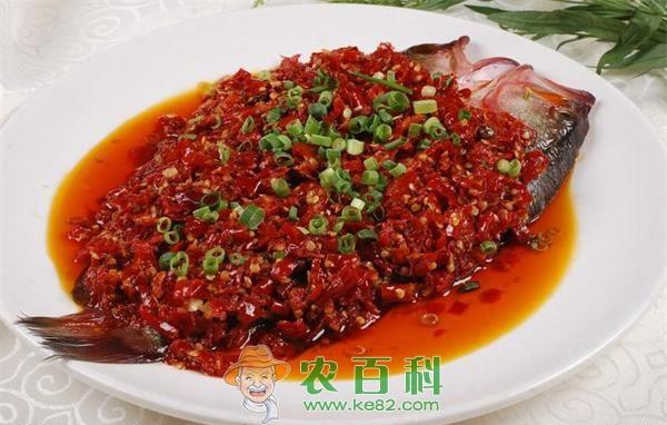 鲈鱼的做法大全