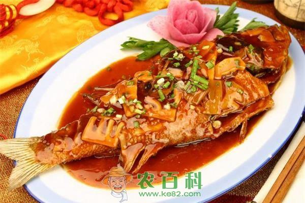 鲈鱼的做法大全