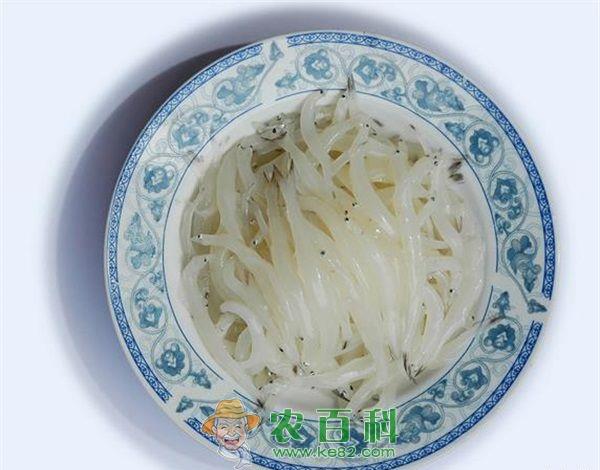 银鱼常见鳃病的防治