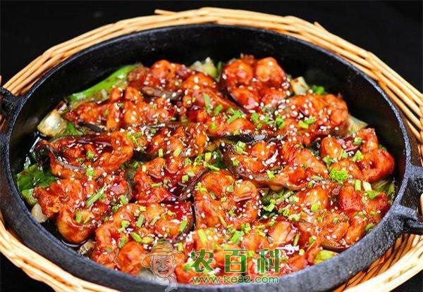 鲶鱼简介