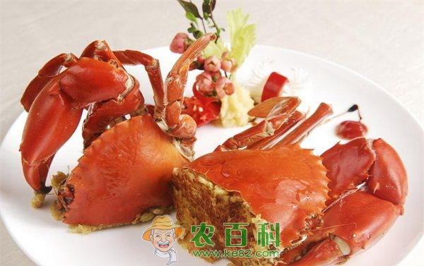 备孕期间能吃螃蟹吗？