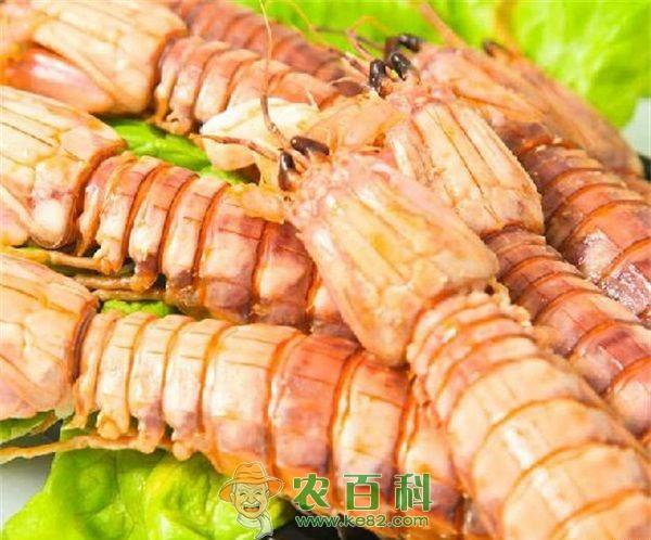 皮皮虾的营养价值