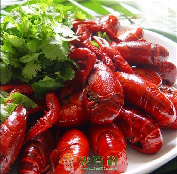 油焖小龙虾的做法