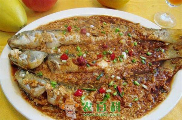 鲻鱼 生拌鲻鱼
