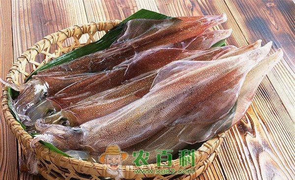 鱿鱼面的做法介绍