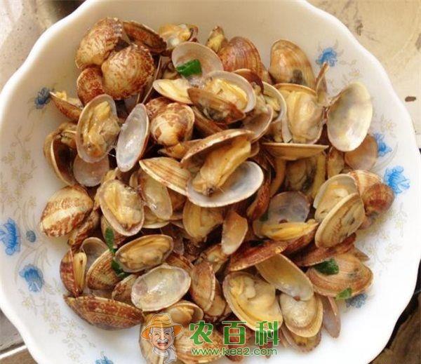 蛤蜊 糖尿病人能吃蛤蜊吗?