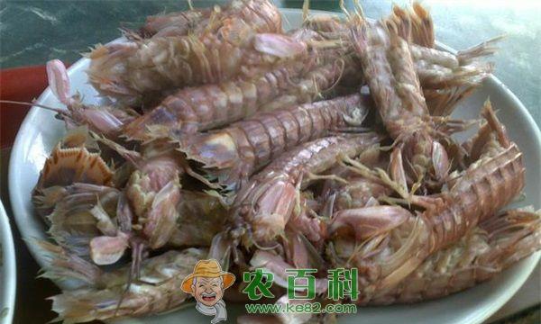 皮皮虾 皮皮虾只剩“皮皮”