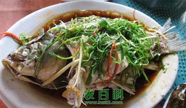 鲫鱼怎么做好吃 鲫鱼怎么做好吃