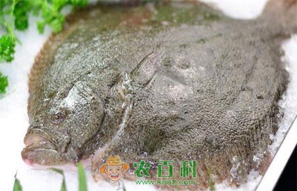 卫生部门抽检多宝鱼全染“绿”